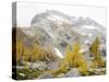 USA, Washington. Alpine Lakes Wilderness, Enchantment Lakes, Golden Larch trees and McClellan Peak-Jamie & Judy Wild-Stretched Canvas