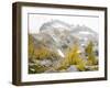 USA, Washington. Alpine Lakes Wilderness, Enchantment Lakes, Golden Larch trees and McClellan Peak-Jamie & Judy Wild-Framed Photographic Print