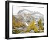 USA, Washington. Alpine Lakes Wilderness, Enchantment Lakes, Golden Larch trees and McClellan Peak-Jamie & Judy Wild-Framed Photographic Print