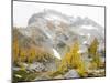 USA, Washington. Alpine Lakes Wilderness, Enchantment Lakes, Golden Larch trees and McClellan Peak-Jamie & Judy Wild-Mounted Photographic Print