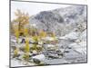 USA, Washington. Alpine Lakes Wilderness, Enchantment Lakes, Golden Larch trees at Magic Meadow-Jamie & Judy Wild-Mounted Photographic Print