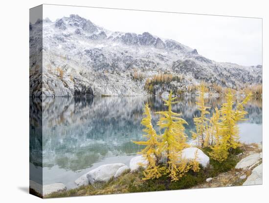 USA, Washington. Alpine Lakes Wilderness, Enchantment Lakes, Golden Larch trees at Perfection Lake-Jamie & Judy Wild-Stretched Canvas