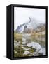 USA, Washington. Alpine Lakes Wilderness, Enchantment Lakes, Little Annapurna and Perfection Lake-Jamie & Judy Wild-Framed Stretched Canvas
