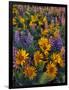 USA, Washington. Balsamroot and Lupine in Evening Light-Steve Terrill-Framed Photographic Print