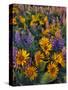 USA, Washington. Balsamroot and Lupine in Evening Light-Steve Terrill-Stretched Canvas