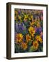 USA, Washington. Balsamroot and Lupine in Evening Light-Steve Terrill-Framed Photographic Print