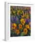 USA, Washington. Balsamroot and Lupine in Evening Light-Steve Terrill-Framed Photographic Print