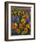 USA, Washington. Balsamroot and Lupine in Evening Light-Steve Terrill-Framed Premium Photographic Print