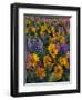 USA, Washington. Balsamroot and Lupine in Evening Light-Steve Terrill-Framed Premium Photographic Print