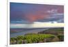 USA, Washington. Benches Vineyard in the Horse Heaven Hills Ava-Janis Miglavs-Framed Photographic Print