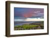 USA, Washington. Benches Vineyard in the Horse Heaven Hills Ava-Janis Miglavs-Framed Photographic Print