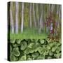 USA, Washington. Collage of Alder Trees and Oxalis-Jaynes Gallery-Stretched Canvas