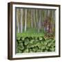 USA, Washington. Collage of Alder Trees and Oxalis-Jaynes Gallery-Framed Photographic Print