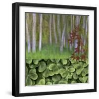 USA, Washington. Collage of Alder Trees and Oxalis-Jaynes Gallery-Framed Photographic Print