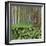 USA, Washington. Collage of Alder Trees and Oxalis-Jaynes Gallery-Framed Photographic Print