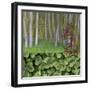 USA, Washington. Collage of Alder Trees and Oxalis-Jaynes Gallery-Framed Photographic Print