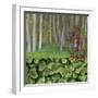 USA, Washington. Collage of Alder Trees and Oxalis-Jaynes Gallery-Framed Photographic Print