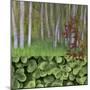 USA, Washington. Collage of Alder Trees and Oxalis-Jaynes Gallery-Mounted Photographic Print