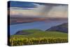 USA, Washington, Columbia Valley. Rain Falls on the Benches Vineyard-Janis Miglavs-Stretched Canvas