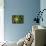 USA, Washington. Common Yellowthroat Perched-Gary Luhm-Mounted Premium Photographic Print displayed on a wall