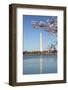 USA, Washington D.C. The Washington Monument framed by cherry blossoms-Charles Sleicher-Framed Photographic Print