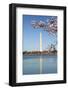 USA, Washington D.C. The Washington Monument framed by cherry blossoms-Charles Sleicher-Framed Photographic Print