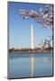 USA, Washington D.C. The Washington Monument framed by cherry blossoms-Charles Sleicher-Mounted Photographic Print