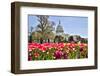 Usa, Washington D.C., United States Capitol-Hollice Looney-Framed Photographic Print