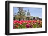 Usa, Washington D.C., United States Capitol-Hollice Looney-Framed Photographic Print