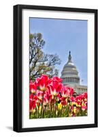 Usa, Washington D.C., United States Capitol-Hollice Looney-Framed Photographic Print