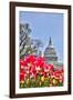 Usa, Washington D.C., United States Capitol-Hollice Looney-Framed Photographic Print