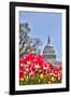 Usa, Washington D.C., United States Capitol-Hollice Looney-Framed Photographic Print