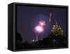 USA, Washington DC, DC, July 4 Fireworks Behind the Iwo Jima Memorial-Hollice Looney-Framed Stretched Canvas