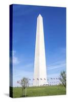 USA, Washington DC, Flags waving around the Washington Monument-Hollice Looney-Stretched Canvas
