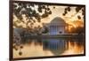 USA, Washington DC, Jefferson Memorial with Cherry Blossoms at Sunrise-Hollice Looney-Framed Photographic Print