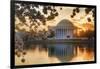 USA, Washington DC, Jefferson Memorial with Cherry Blossoms at Sunrise-Hollice Looney-Framed Photographic Print