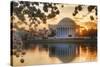 USA, Washington DC, Jefferson Memorial with Cherry Blossoms at Sunrise-Hollice Looney-Stretched Canvas