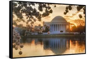 USA, Washington DC, Jefferson Memorial with Cherry Blossoms at Sunrise-Hollice Looney-Framed Stretched Canvas