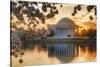 USA, Washington DC, Jefferson Memorial with Cherry Blossoms at Sunrise-Hollice Looney-Stretched Canvas