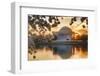 USA, Washington DC, Jefferson Memorial with Cherry Blossoms at Sunrise-Hollice Looney-Framed Photographic Print