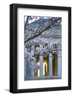 USA, Washington DC, Jefferson Memorial with Cherry Blossoms-Hollice Looney-Framed Photographic Print