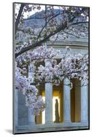 USA, Washington DC, Jefferson Memorial with Cherry Blossoms-Hollice Looney-Mounted Photographic Print