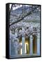 USA, Washington DC, Jefferson Memorial with Cherry Blossoms-Hollice Looney-Framed Stretched Canvas