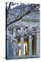 USA, Washington DC, Jefferson Memorial with Cherry Blossoms-Hollice Looney-Stretched Canvas