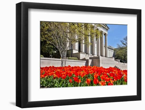 USA, Washington DC, National Gallery of Art West Building in Springtime-Hollice Looney-Framed Photographic Print