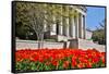 USA, Washington DC, National Gallery of Art West Building in Springtime-Hollice Looney-Framed Stretched Canvas