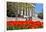 USA, Washington DC, National Gallery of Art West Building in Springtime-Hollice Looney-Framed Photographic Print