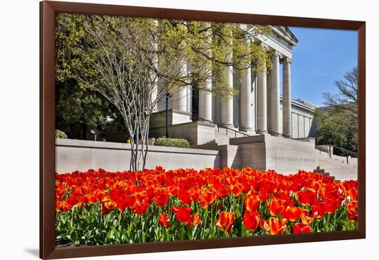 USA, Washington DC, National Gallery of Art West Building in Springtime-Hollice Looney-Framed Photographic Print