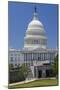 USA, Washington Dc. Visitor Entrance of the Us Capitol Building-Charles Crust-Mounted Photographic Print