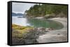 USA, Washington. Gravel Beach and Shore on Vendovi Island-Gary Luhm-Framed Stretched Canvas